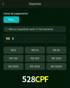 deposits 528CPF